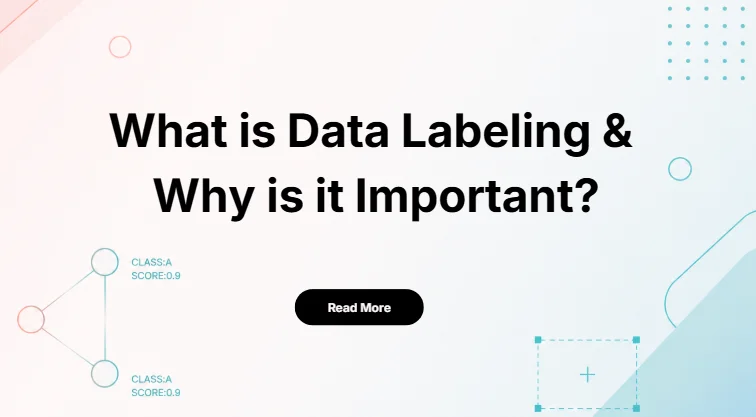 What is Data Labeling