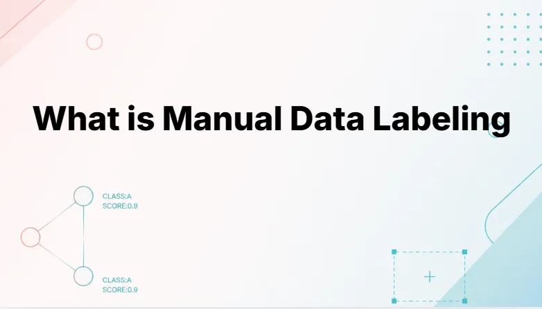 What is Manual Data Labeling