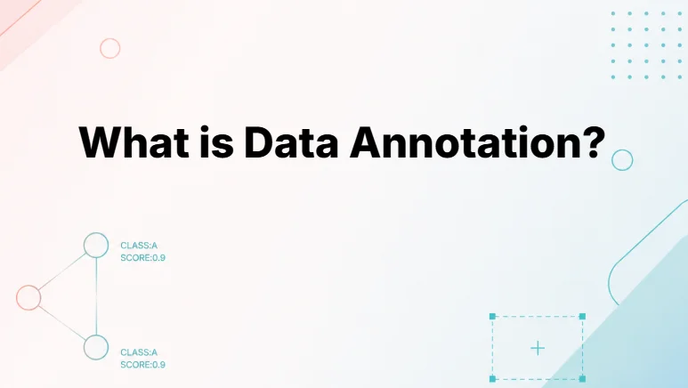 What is Data Annotation