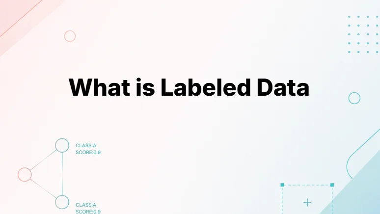 What is Labeled Data in Machine Learning - featured image